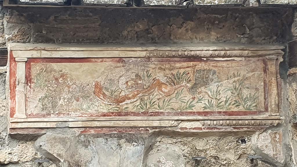 I.11.11 Pompeii. July 2021. Painted lararium at east end of north wall of bar-room.
Foto Annette Haug, ERC Grant 681269 DÉCOR.