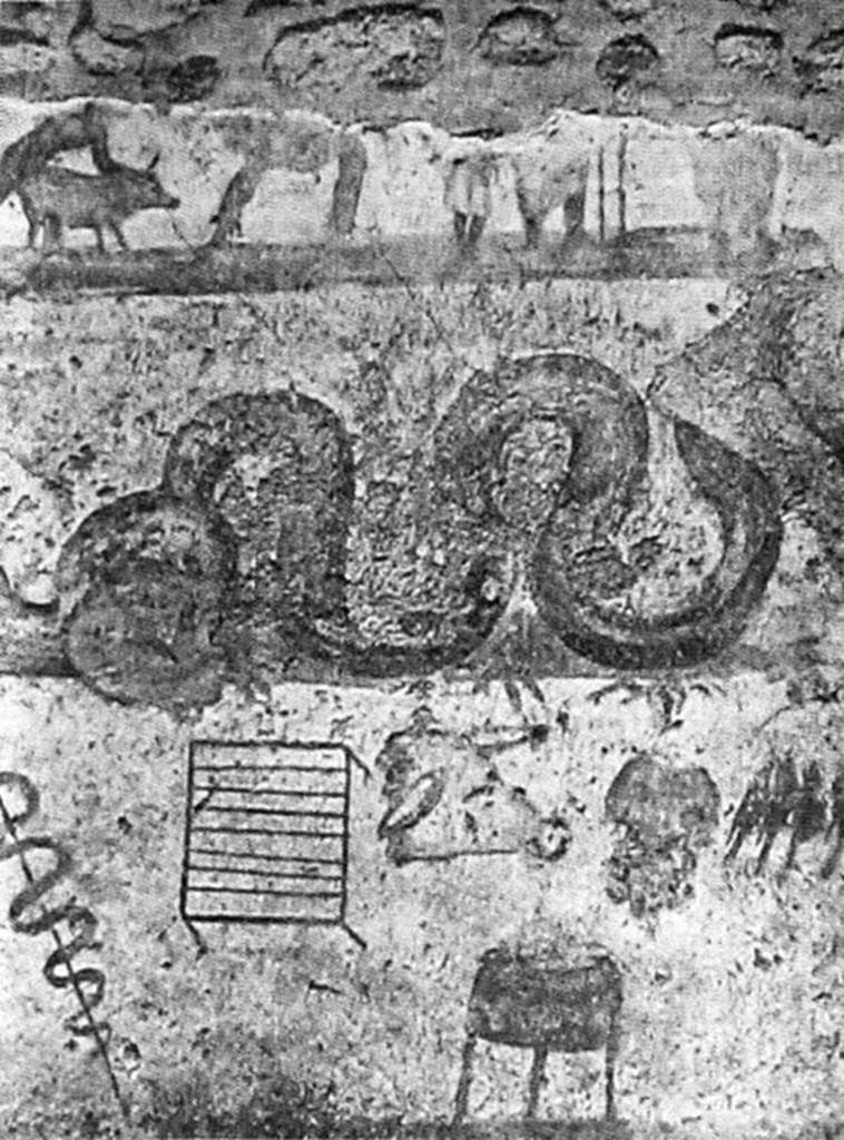 V.4.3 Pompeii. 1901 photograph of lararium painting on east wall of kitchen.
According to Boyce, the entire east wall beside the hearth was covered with the lararium painting.
The painting had three zones.
On the top zone only the lower part of the figures remained.
- Around a tripod are three figures.
- To the right is the genius, to the left the tibicen and the camillus.
- On each side stands a Lar.
- To the left a naked man leads a pig which he holds by tail and ear.
In the middle zone
- a serpent advances right,
- presumably to an altar that must have been over the hearth but was missing when excavated.
In the lower zone are kitchen utensils, and food items:
- Two suspended sausages
- An eel on a spit
- A suspended grid iron
- A pigs head
- An indistinguishable object
- Several hanging birds.
- A cooking pot on a tripod.
See Notizie degli Scavi di Antichità, 1901, p. 258-9, fig. 2.
See Boyce G. K., 1937. Corpus of the Lararia of Pompeii. Rome: MAAR 14. (119b).