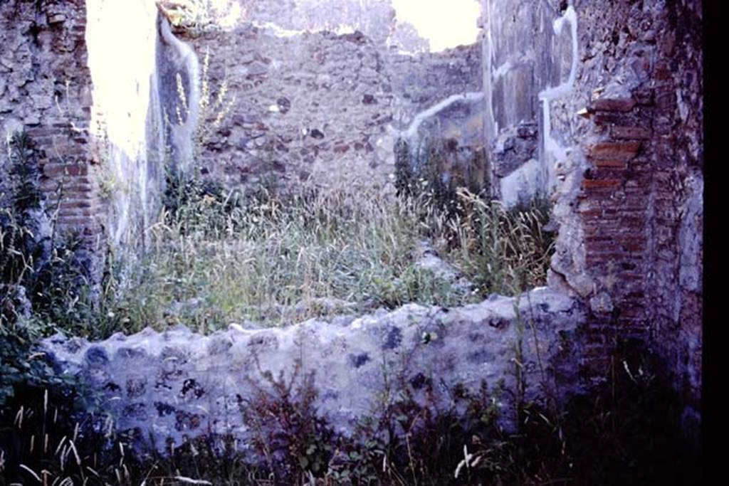 PL.17A. Pompeii, 1978. Photo by Stanley A. Jashemski.
Source: The Wilhelmina and Stanley A. Jashemski archive in the University of Maryland Library, Special Collections (See collection page) and made available under the Creative Commons Attribution-Non Commercial License v.4. See Licence and use details.
J78f0333
(The Jashemski number on the photo follows on from the one above it but may not be from the same place. This also may also have been reversed when scanned so may need flipping horizontally).