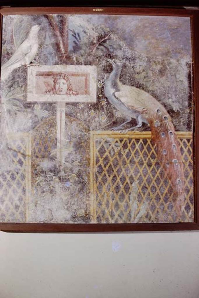 PA.12. Painting of Bird and Peacock in garden painting. 1978. Photo by Stanley A. Jashemski.
Source: The Wilhelmina and Stanley A. Jashemski archive in the University of Maryland Library, Special Collections (See collection page) and made available under the Creative Commons Attribution-Non Commercial License v.4. See Licence and use details.
J78f0375
From Naples Museum, inventory number 9760, from unknown location.