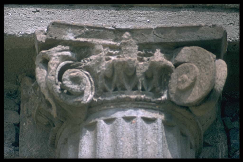 M.9. Column and capital, from unknown location.
Photographed 1970-79 by Günther Einhorn, picture courtesy of his son Ralf Einhorn.