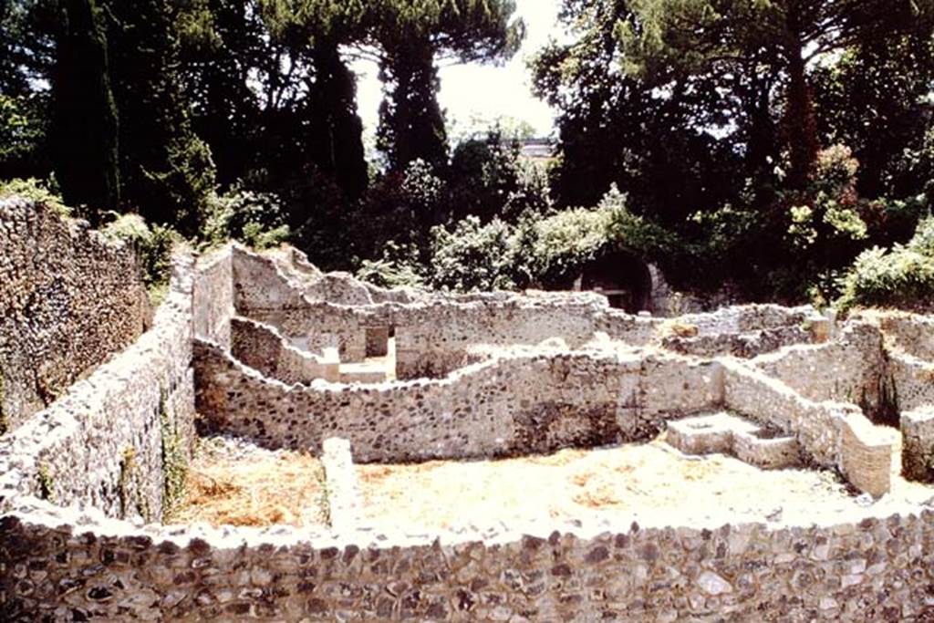 I.1.8 Pompeii. 1966. Looking south across insula towards the Stabian Gate, centre right hidden in the plants. Photo by Stanley A. Jashemski.
Source: The Wilhelmina and Stanley A. Jashemski archive in the University of Maryland Library, Special Collections (See collection page) and made available under the Creative Commons Attribution-Non Commercial License v.4. See Licence and use details.
J66f0204