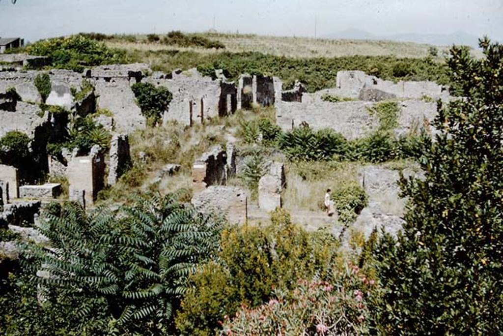 1.1.9 Pompeii. 1959. Looking east towards Via Stabiana, with I.1.9 in the centre of the photo. On the left of it is the Vicolo del Conciapelle. Photo by Stanley A. Jashemski.
Source: The Wilhelmina and Stanley A. Jashemski archive in the University of Maryland Library, Special Collections (See collection page) and made available under the Creative Commons Attribution-Non Commercial License v.4. See Licence and use details.
J59f0275