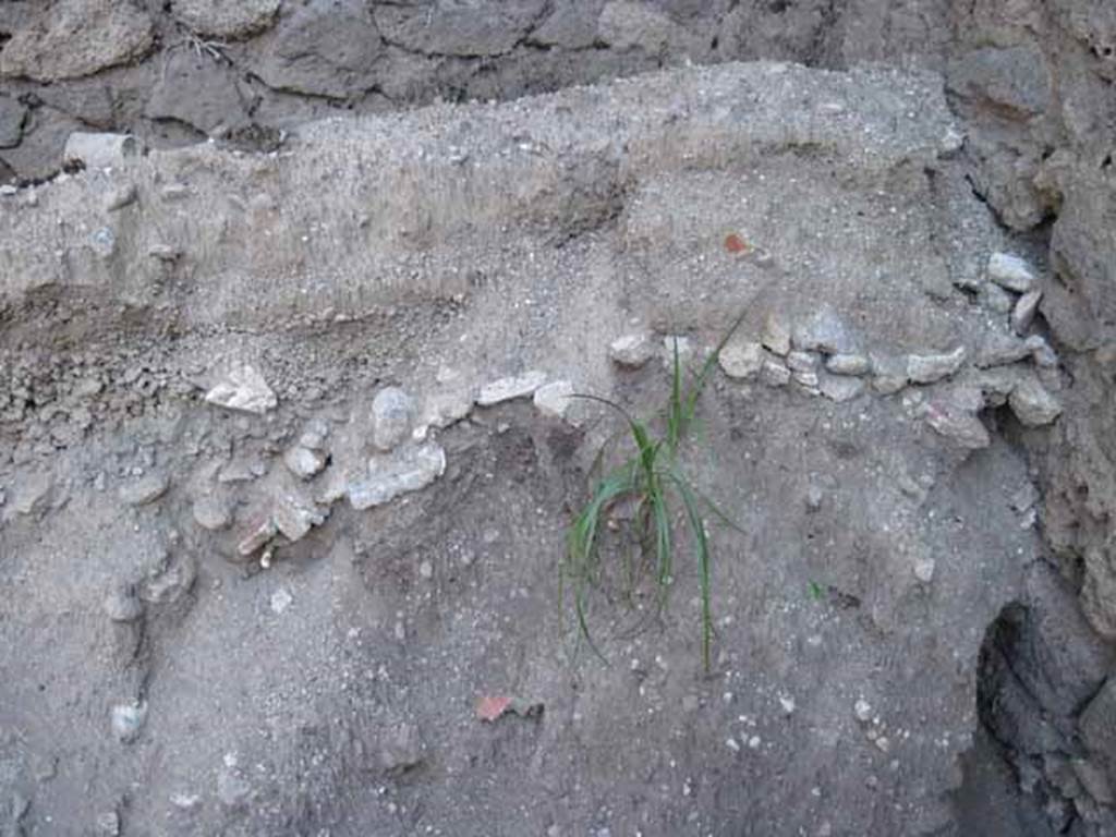 1.1.10 Pompeii. September 2010. Looking east towards south-east corner, detail of matrix (original?) showing fresco fragments, lapilli etc in situ.
Photo courtesy of Drew Baker.