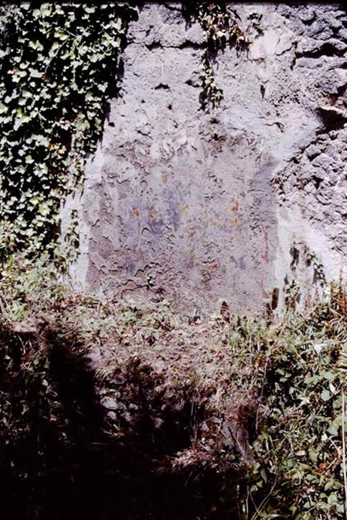 I.2.10 Pompeii. 1964. East wall of garden area Photo by Stanley A. Jashemski.
Source: The Wilhelmina and Stanley A. Jashemski archive in the University of Maryland Library, Special Collections (See collection page) and made available under the Creative Commons Attribution-Non Commercial License v.4. See Licence and use details. J64f1292