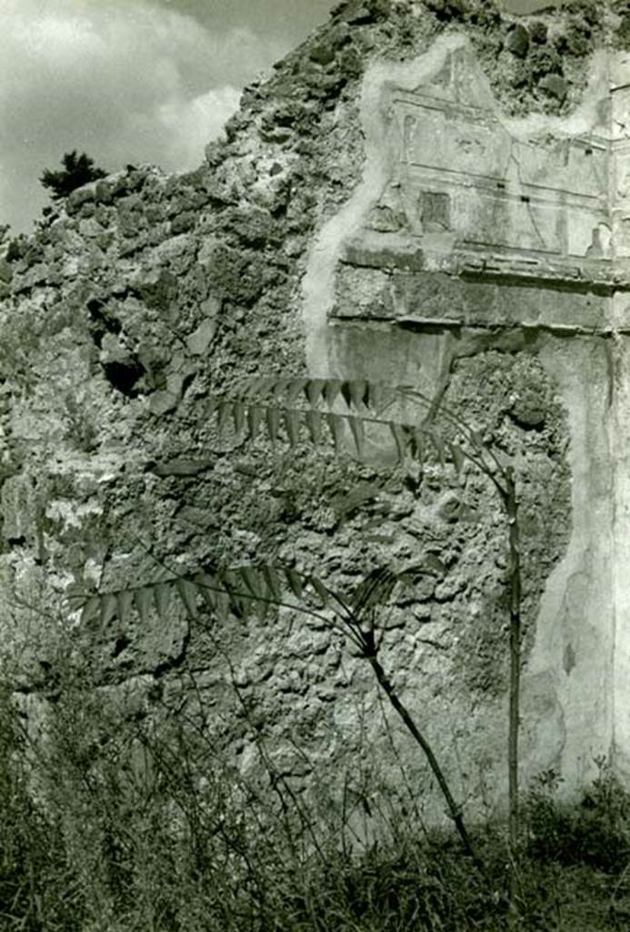 I.2.16 Pompeii. 1968. House, 2nd room, left of garden, left N wall, overall view. Photo courtesy of Anne Laidlaw.
American Academy in Rome, Photographic Archive. Laidlaw collection _P_68_5_2.