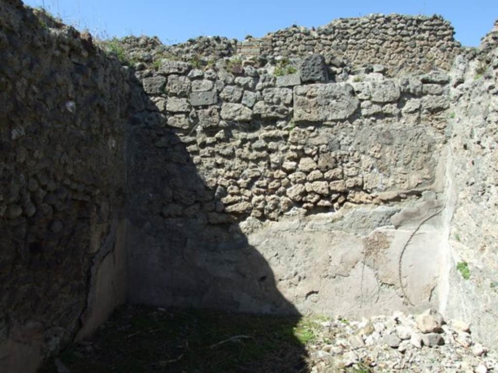 I.2.16 Pompeii. March 2009. Room 8. North wall.