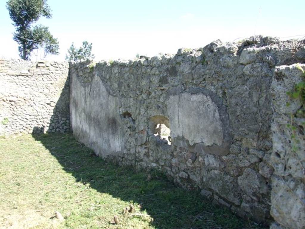 I.2.17 Pompeii. March 2009. Room 13. Peristyle Garden, South wall.