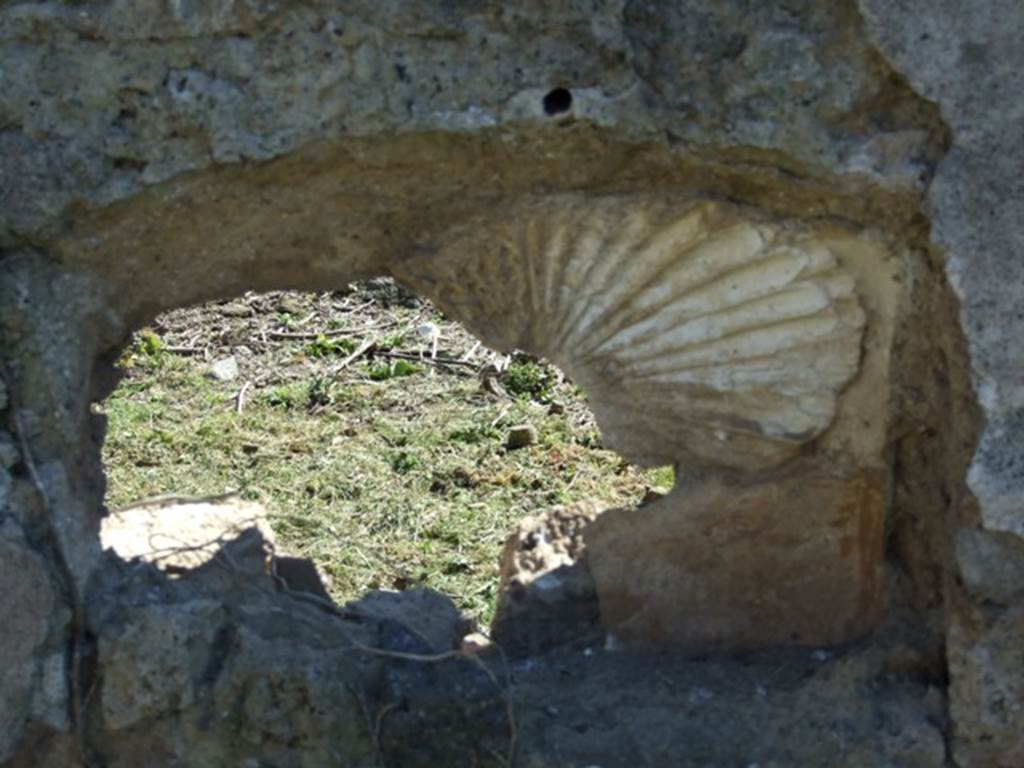 I.2.17 Pompeii. March 2009. Room 13. South wall. Remains of stucco shell decoration.