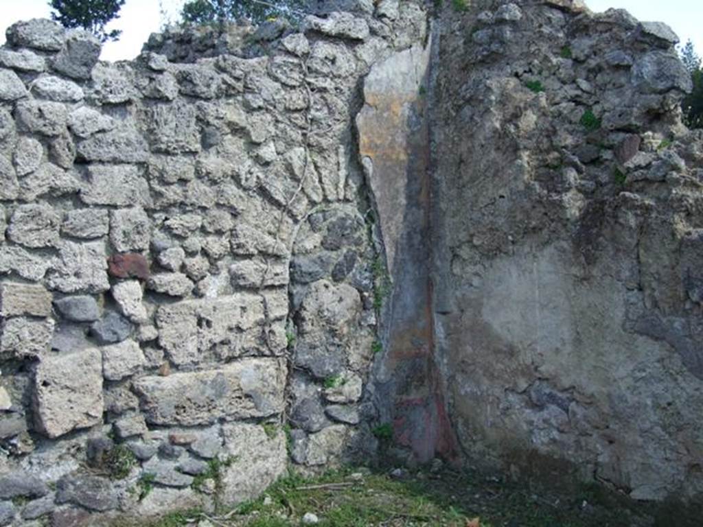 I.2.20 Pompeii. March 2009. East wall of Triclinium, and south east corner.