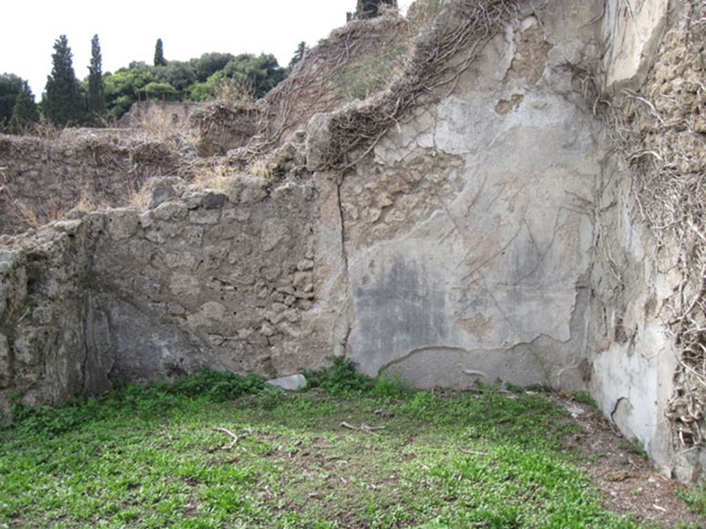 I.3.3 Pompeii. September 2010. Upper peristyle area, west wall of oecus on north side of peristyle. Photo courtesy of Drew Baker.