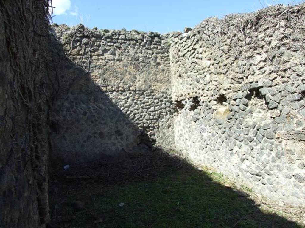 1.3.3 Pompeii. March 2009. Large room on south side of east end of Peristyle area. Looking north.