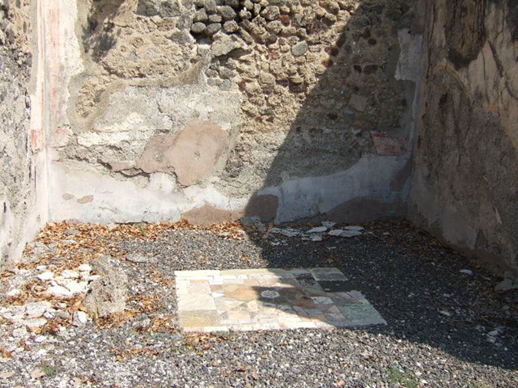 I.3.3 Pompeii. May 2005. Floor of Tablinum.