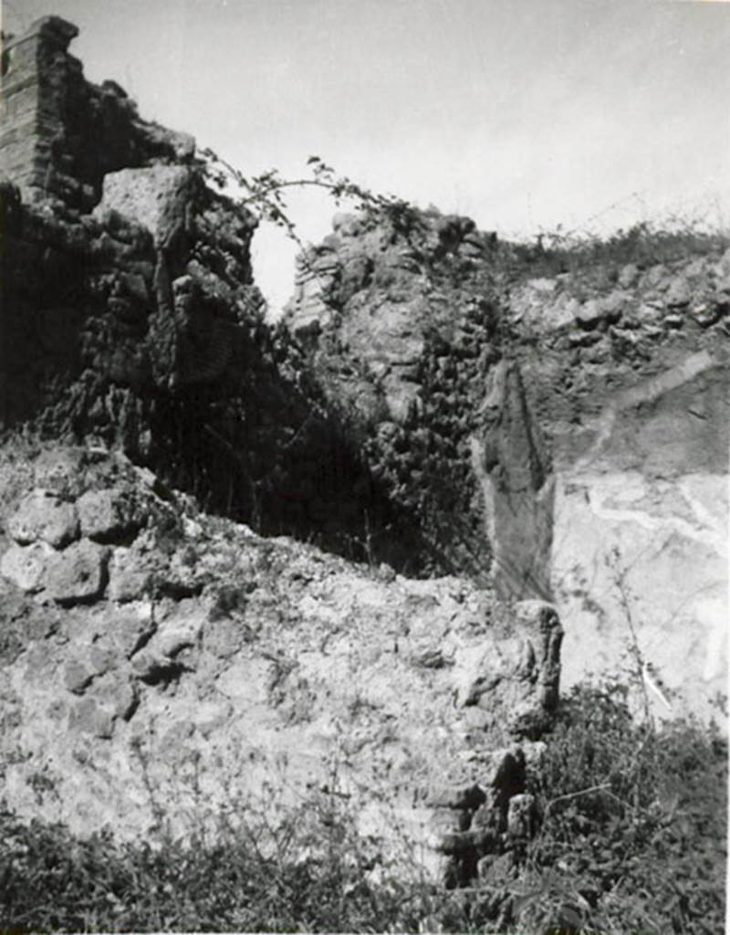 I.3.6 Pompeii. 1935 photograph taken by Tatiana Warscher. Looking north from entrance room towards north wall and doorway into room on north side. According to Warscher, she wrote –
“Sul muro di fondo della bottega si apre una finestra che dà sulla strada”.
(translation: “In the rear wall of the shop, there opened a window that gave onto the street”.)
See Warscher, T, 1935: Codex Topographicus Pompejanus, Regio I, 3: (no.14), Rome, DAIR, whose copyright it remains.