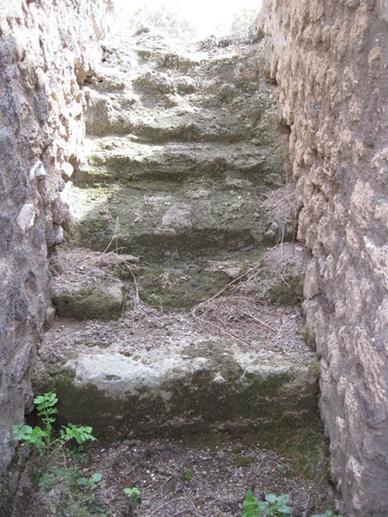 I.3.17 Pompeii. September 2010. Looking up steps from entrance doorway. Photo courtesy of Drew Baker.