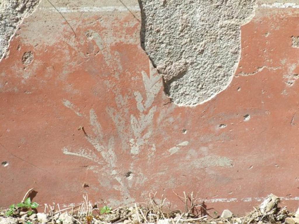 I.3.29 Pompeii. March 2009. Room 4. Detail of plant painting on north wall.