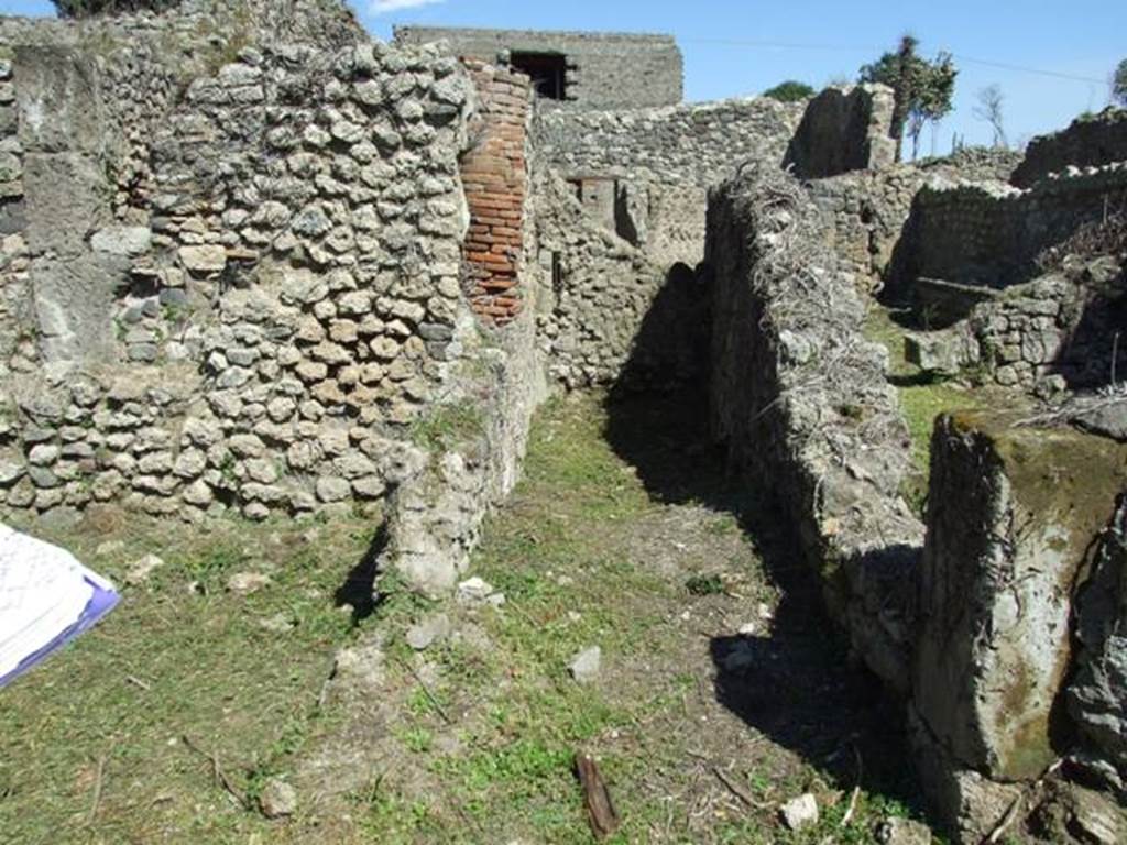 I.3.30 Pompeii. March 2009. Room 9. in south east corner of Peristyle Garden.