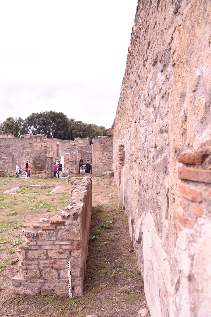 I.4.2 Pompeii. October 2019. Detail of wall on south side of corridor in garden area.
Foto Tobias Busen, ERC Grant 681269 DÉCOR.