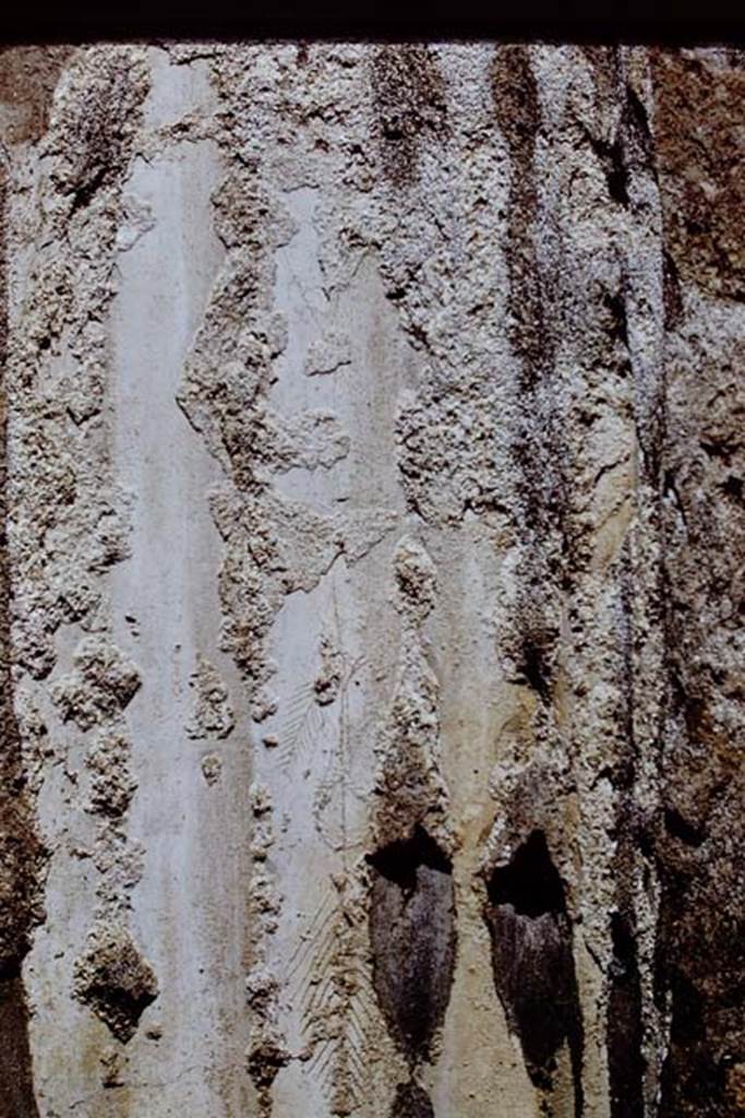 I.4.2 Pompeii. 1971. Detail of graffiti on engaged column at north end of peristype.
Photo by Stanley A. Jashemski.
Source: The Wilhelmina and Stanley A. Jashemski archive in the University of Maryland Library, Special Collections (See collection page) and made available under the Creative Commons Attribution-Non Commercial License v.4. See Licence and use details. J71f0151