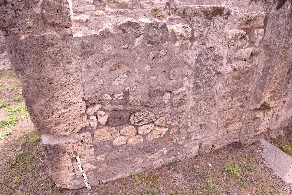 I.4.2 Pompeii. October 2019. Detail of south wall of entrance corridor.
Foto Tobias Busen, ERC Grant 681269 DÉCOR.