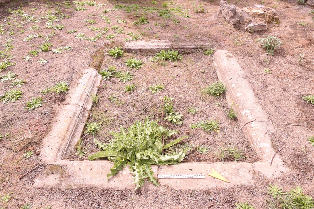 I.4.2 Pompeii. October 2019. Detail of impluvium in atrium, looking west.
Foto Tobias Busen, ERC Grant 681269 DÉCOR.