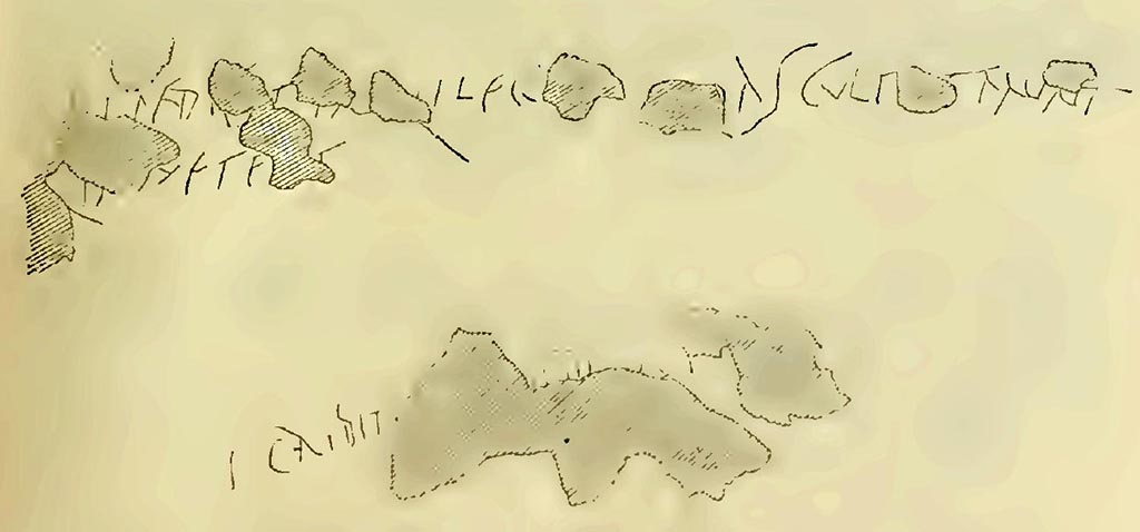 I.4.4 Pompeii. Notizie degli Scavi di Antichitŕ, 1898, p.31, fig. 1.
According to NdS, a piece of plaster (intonaco di mattone) fell from the north wall and underneath it appeared a part of a red dado with an inscription. Unfortunately the conservation of the inscription was not good, as the wall had been chiselled to give better adhesion to the upper new plaster.
Taking into account the red plaster that was missing, it would read –