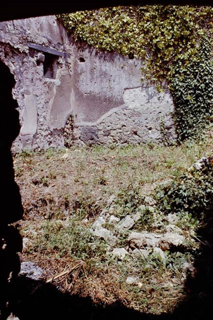 I.4.11 Pompeii. 1961. Looking towards the east wall of the garden/viridarium. Photo by Stanley A. Jashemski.
Source: The Wilhelmina and Stanley A. Jashemski archive in the University of Maryland Library, Special Collections (See collection page) and made available under the Creative Commons Attribution-Non Commercial License v.4. See Licence and use details. J61f0715