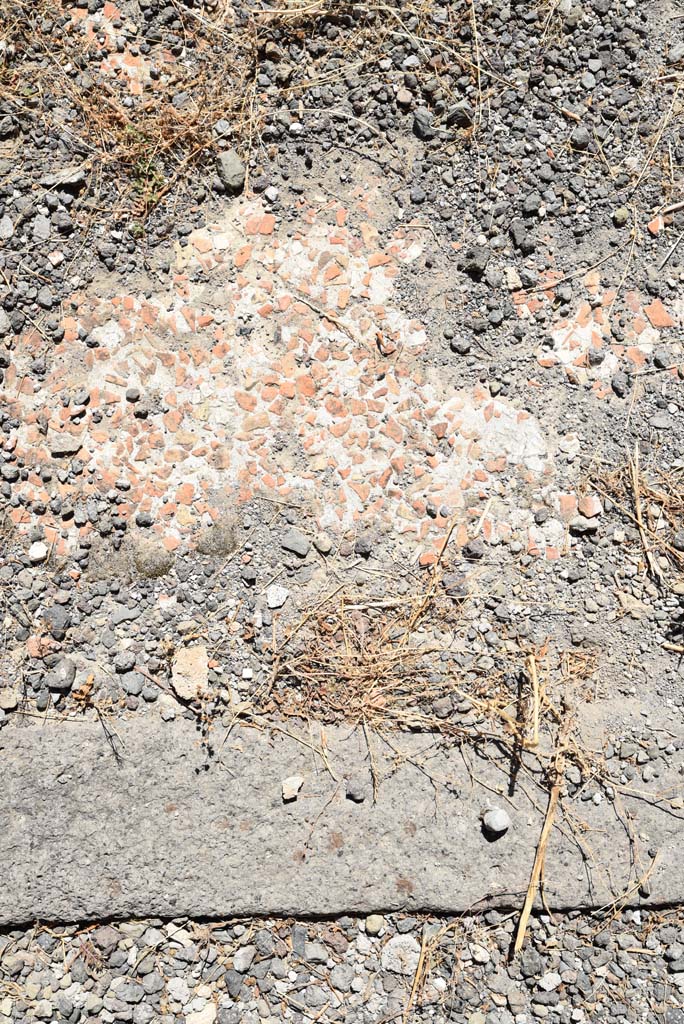 I.4.25 Pompeii. September 2020. Room 47, detail of atrium floor at south end of fauces.
Foto Tobias Busen, ERC Grant 681269 DÉCOR