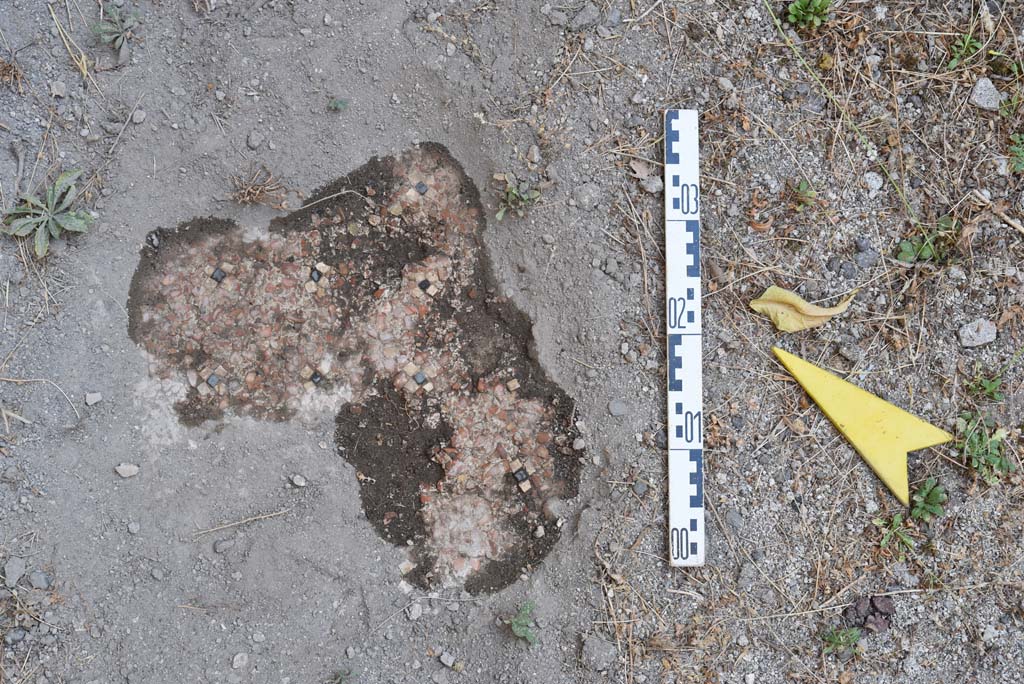 I.4.25 Pompeii. September 2020. Room 52, detail of flooring near north wall.
Foto Tobias Busen, ERC Grant 681269 DÉCOR