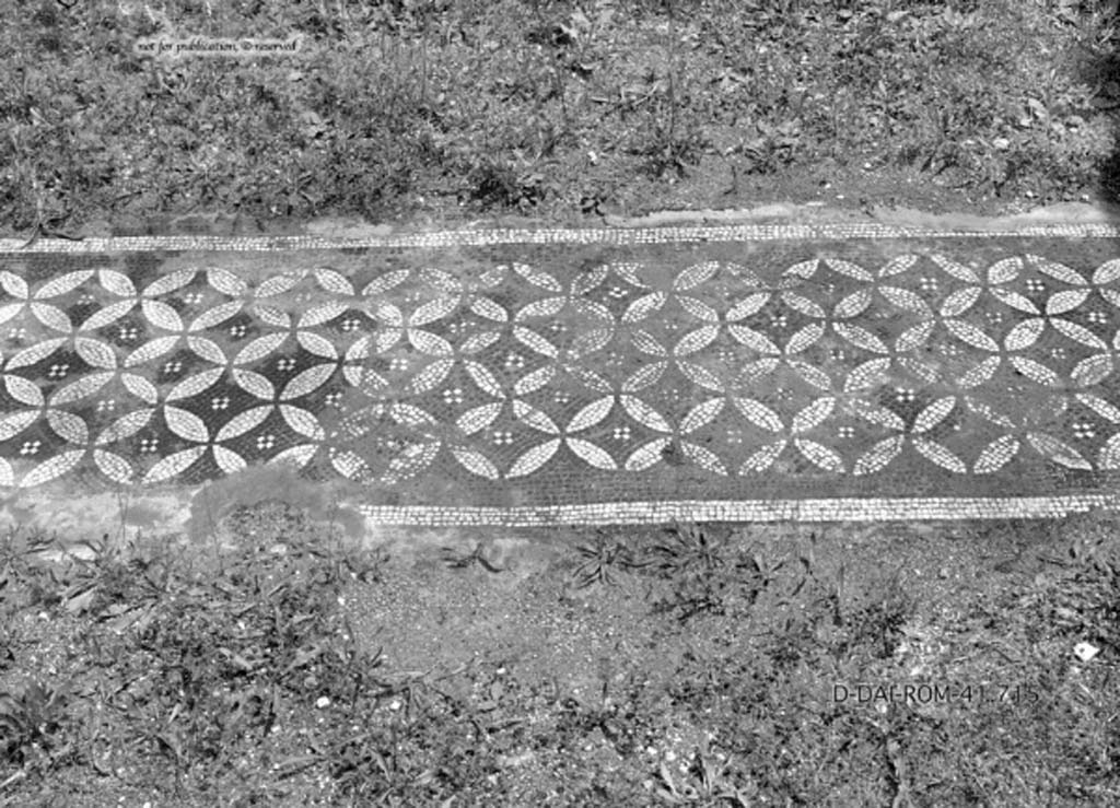 I.4.25 Pompeii. c.1930. East ala, the flooring was of mosaic with threshold of white circles.
DAIR 41.715. Photo © Deutsches Archäologisches Institut, Abteilung Rom, Arkiv.
See Pernice, E. 1938. Pavimente und Figürliche Mosaiken: Die Hellenistische Kunst in Pompeji, Band VI. Berlin: de Gruyter,
(described as “Ala 54”. see taf. 36,6).
