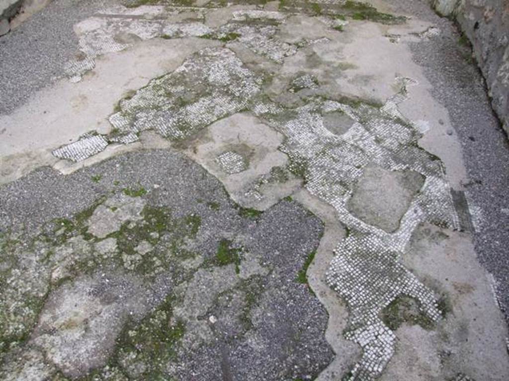 I.4.25 Pompeii. December 2007. Room 34, remains of mosaic floor in cubiculum on east side of lower peristyle.