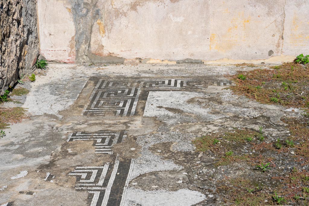 I.4.25 Pompeii. October 2023.
Room 35, looking across mosaic flooring towards east wall in north-east corner. Photo courtesy of Johannes Eber.