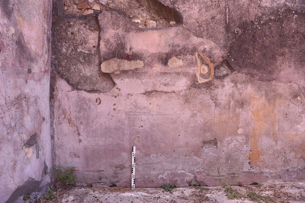 I.4.25 Pompeii. September 2020. Room 35, detail of zoccolo/dado on south wall in south-east corner.
Foto Tobias Busen, ERC Grant 681269 DÉCOR.