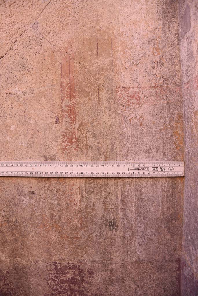 I.4.25 Pompeii. October 2019.
Room 36, detail from west end of south wall in south-west corner of cubiculum.
Foto Tobias Busen, ERC Grant 681269 DÉCOR.