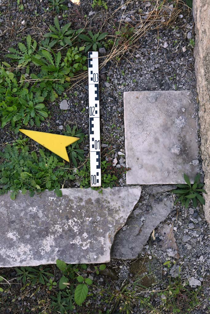 I.4.25/1.4.5 Pompeii. October 2019.
Tablinum 14, threshold of doorway from south side of east end, near doorway to room 36.
Foto Tobias Busen, ERC Grant 681269 DÉCOR.