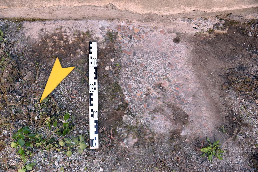 I.4.25/1.4.5 Pompeii. October 2019. Corridor 15, detail of flooring near south wall.
Foto Tobias Busen, ERC Grant 681269 DÉCOR.