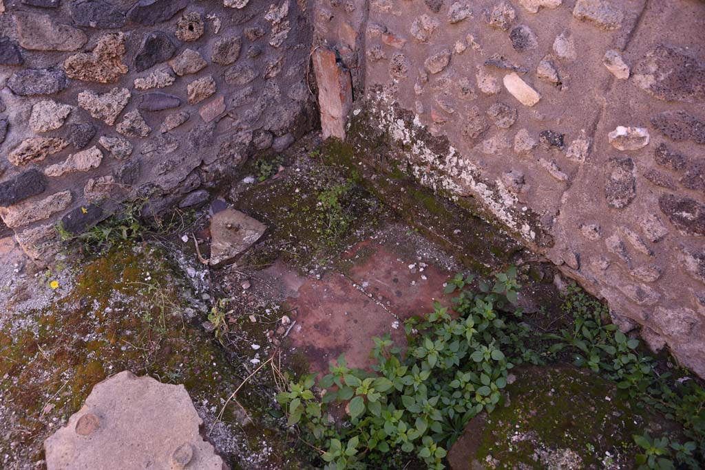 I.4.25/I.4.5 Pompeii. October 2019. Tepidarium 40, detail from south-east corner.
Foto Tobias Busen, ERC Grant 681269 DÉCOR.