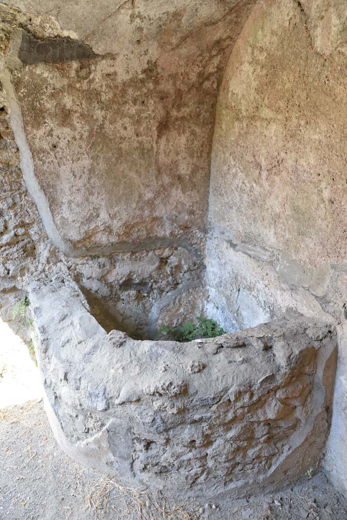 I.4.25/I.4.5 Pompeii. September 2020.
Unnumbered corridor/room, basin/vat in vaulted area at east end of corridor with steps.
Foto Tobias Busen, ERC Grant 681269 DÉCOR.
