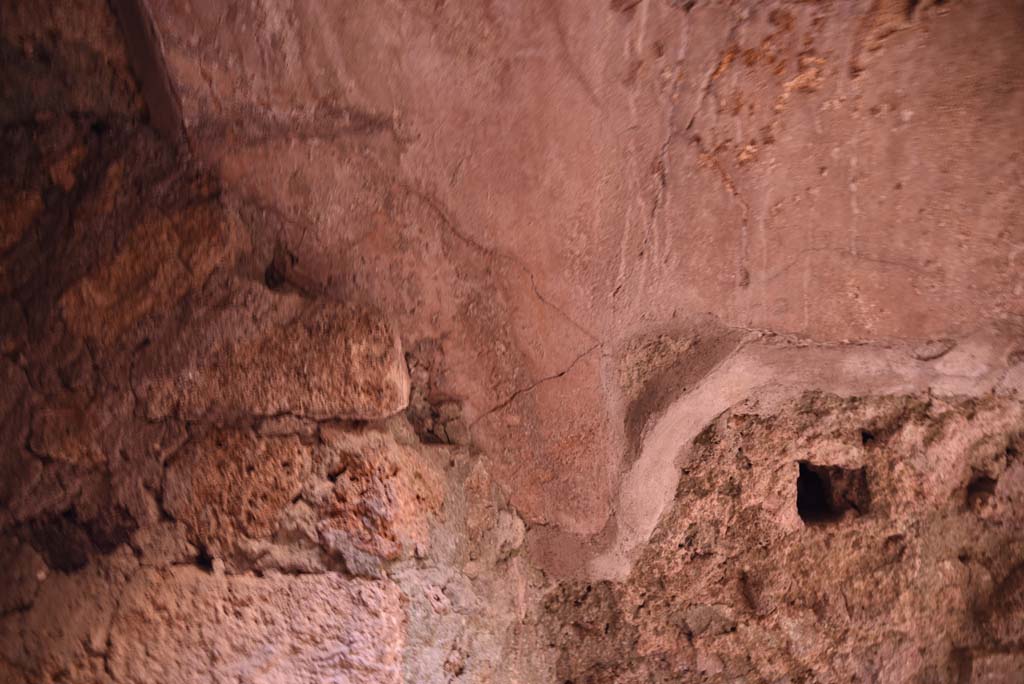 I.4.25/I.4.5 Pompeii. October 2019. Unnumbered corridor/room, detail from west wall of second vaulted area.
Foto Tobias Busen, ERC Grant 681269 DÉCOR.