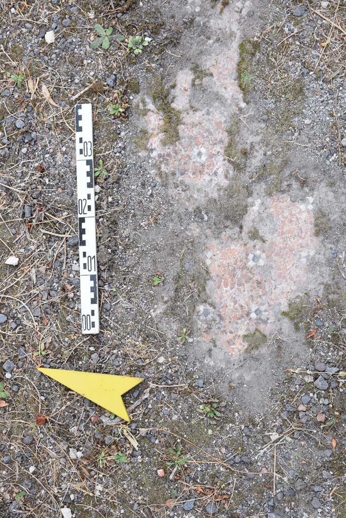 I.4.25 Pompeii. September 2020. Upper Peristyle 56, detail of flooring.
Foto Tobias Busen, ERC Grant 681269 DÉCOR