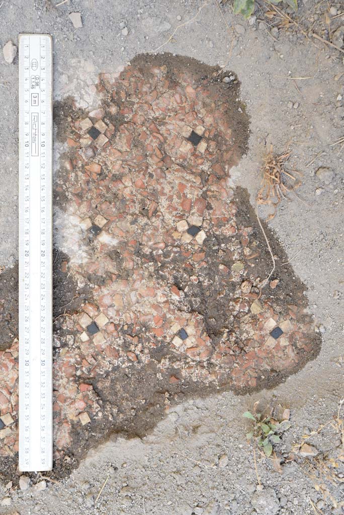 I.4.25 Pompeii. September 2020. Upper Peristyle 56, detail of cleaned flooring.
Foto Tobias Busen, ERC Grant 681269 DÉCOR