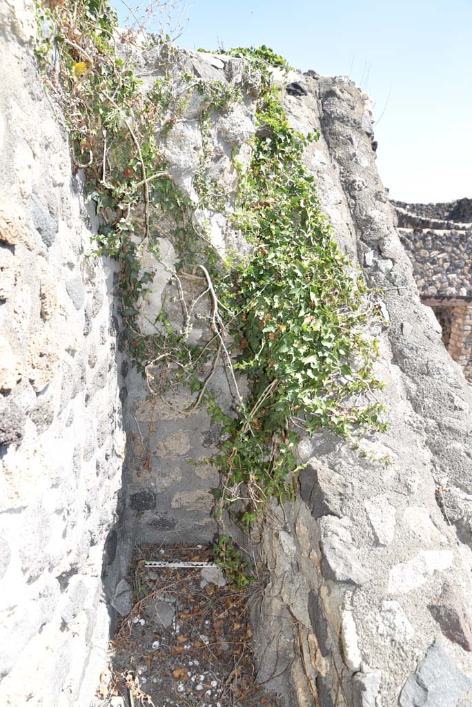 I.4.25 Pompeii. September 2020. Upper Peristyle 56/Middle Peristyle 17, detail.
Foto Tobias Busen, ERC Grant 681269 DÉCOR.