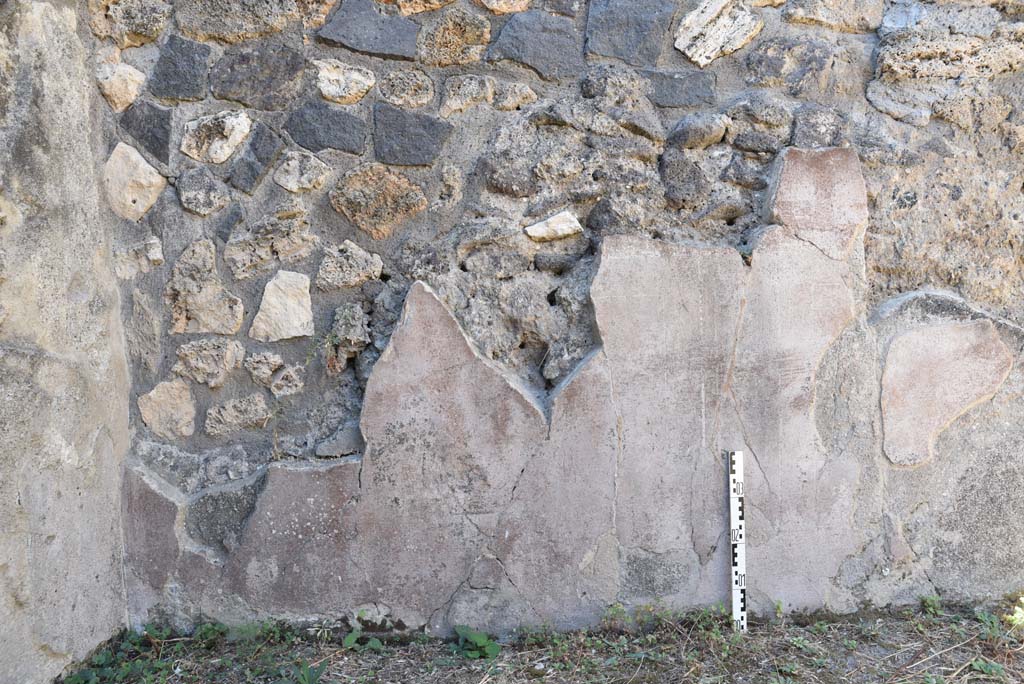 I.4.25 Pompeii. September 2020. Room 57, detail from west wall at south end.
Foto Tobias Busen, ERC Grant 681269 DÉCOR.