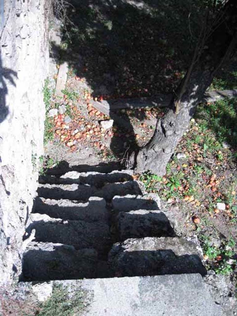 I.5.2 Pompeii. September 2010. 207 Stairs leading down to open area, from south side of peristyle garden. Looking east. Photo courtesy of Drew Baker.
According to Jashemski, this was a large open area from which previous construction had been cleared. It was excavated in 1873-4.
Five doors in the south wall leading to the pomerium had been blocked up. Viola suggested that the garden was used for drying the leather in the sun. Tatiana Warscher believed the site was used as a kitchen garden.
See Jashemski, W. F., 1993. The Gardens of Pompeii, Volume II: Appendices. New York: Caratzas. (p.33)
Viola, “Scavi”, p.15
Warscher, “Codex”