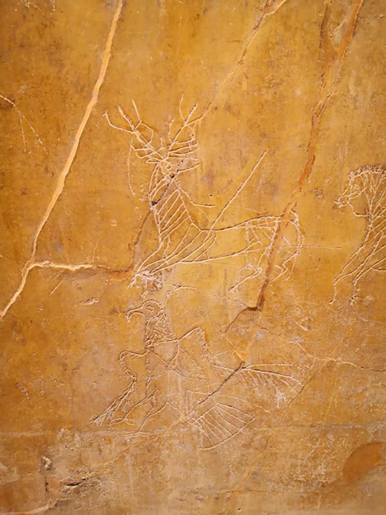I.6.2 Pompeii, December 2019. Detail of graffiti on south wall of oecus. 
On display in exhibition “Pompei e Santorini” in Rome, 2019. Photo courtesy of Giuseppe Ciaramella.
