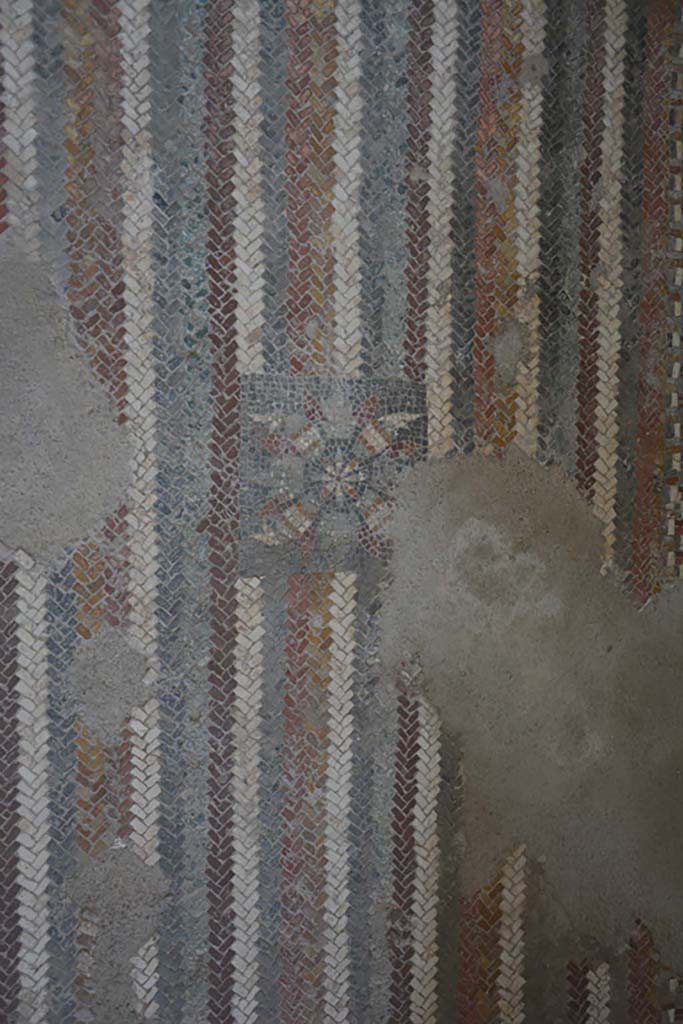 I.6.2 Pompeii. September 2019.
Detail from floor mosaic in anteroom, apodyterium or changing room.
Foto Annette Haug, ERC Grant 681269 DÉCOR.