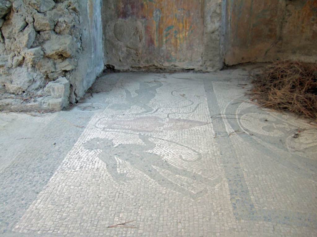 I.6.2 Pompeii. May 2006. Caldarium mosaic floor. In the centre is a Hellenistic rosette. To the side are two ithyphallic pygmies carrying an amphora and on the other side are dolphins. 
Underneath is a hypocaust. See more pictures at I.6.16, the rear entrance.