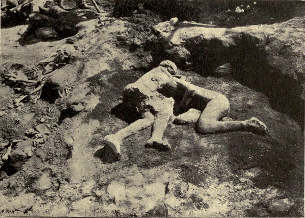 I.6.2 Pompeii. Plaster cast of two victims, found in the garden, between 2nd and 21st July 1914.
The casts were formed “with the long and patient work of two valued workmen, Umberto Borelli and Armando Mancini”.
See Notizie degli Scavi di Antichità, 1914, Vol. XI, p.261. (Fig.5)