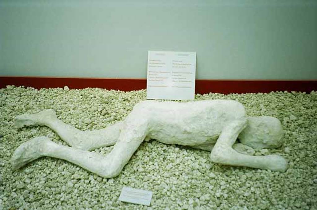 Piazza Anfiteatro exhibition building. May 2010. Exhibit from the Pompei e il Vesuvio exhibition. Plaster cast of a young man found in the garden of the House of the Cryptoporticus. Traces of leather shoes can be seen on the feet of this young man, who was about 15 years old. Iron nails that reinforced the sole of the shoe were also found in the plaster. Photo courtesy of Rick Bauer.