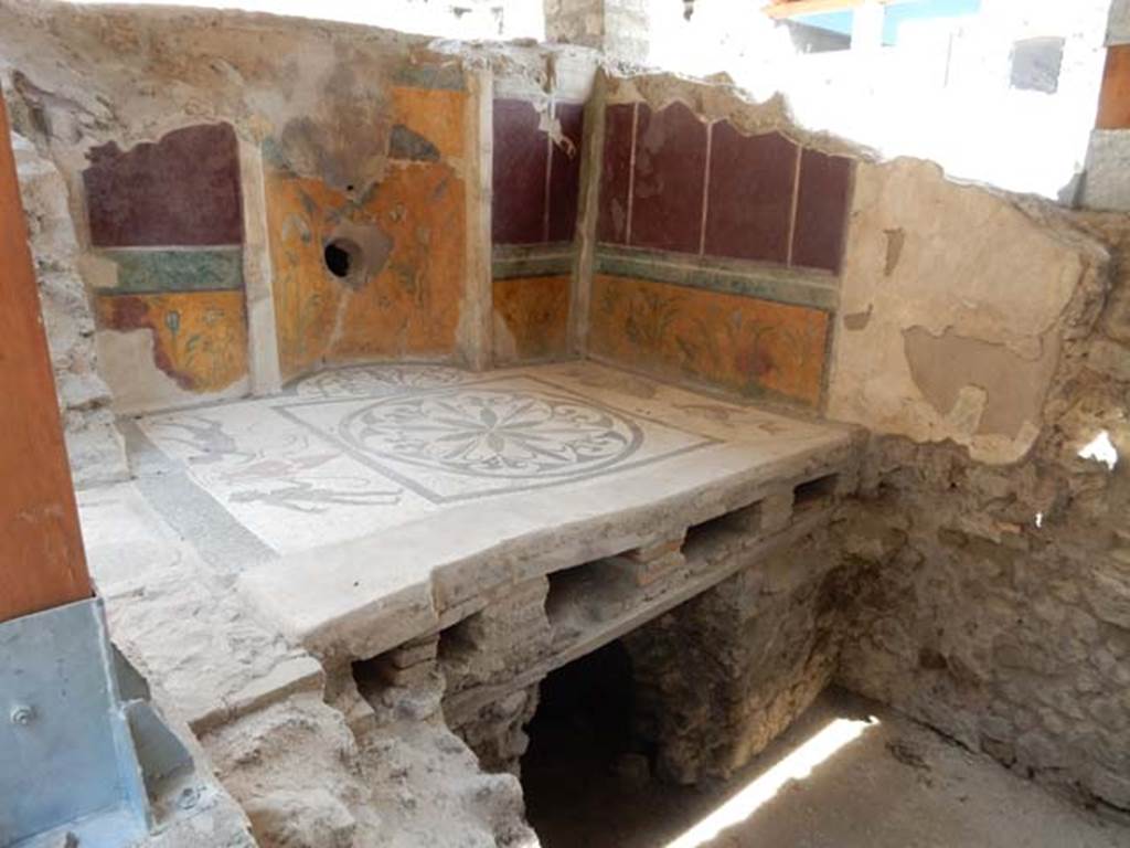 I.6.2/16 Pompeii. May 2017.
Looking north-east towards caldarium near rear entrance at I.6.16, with detail of hypocaust flooring below the multi-coloured mosaic flooring.
In the centre of the floor is a Hellenistic rosette.
To the side are two ithyphallic pygmies carrying an amphora and on the other side are dolphins.
You can see further pictures at I.6.16. Photo courtesy of Buzz Ferebee.